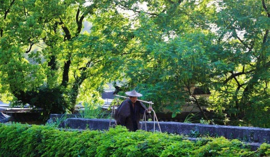 小猫钓鱼游戏龙王版有船