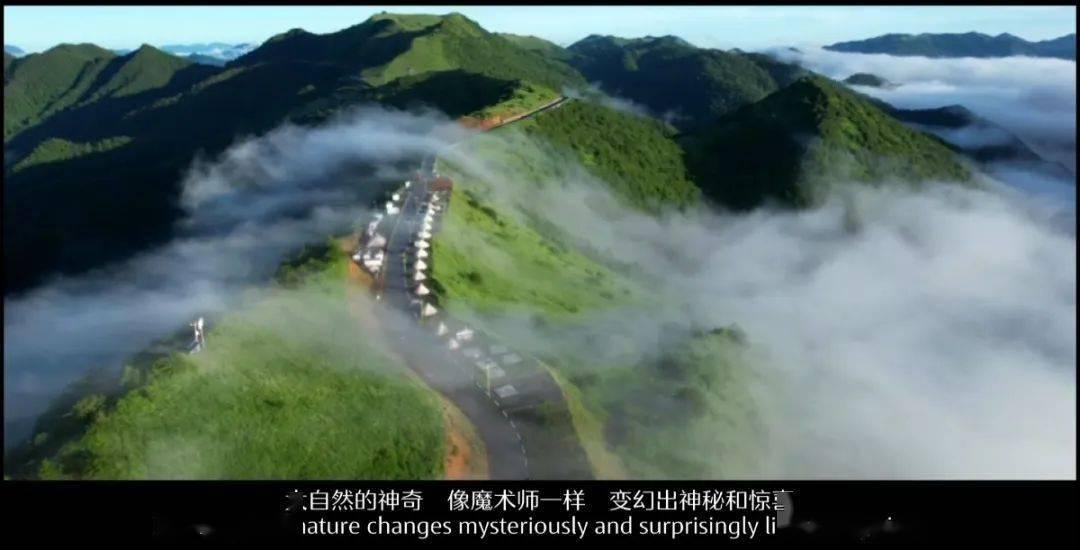 如何选购洗碗机——专业有问必答平台